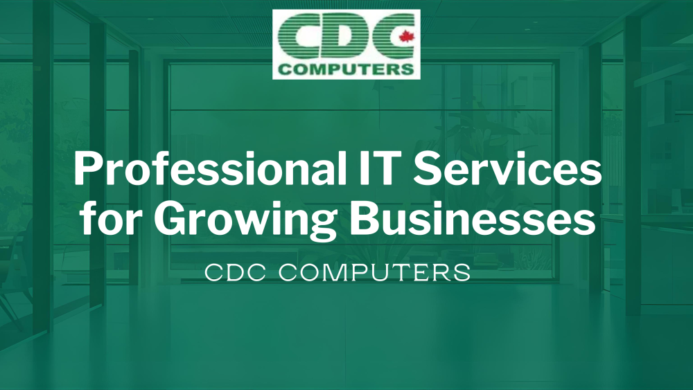 IT services Winnipeg for businesses